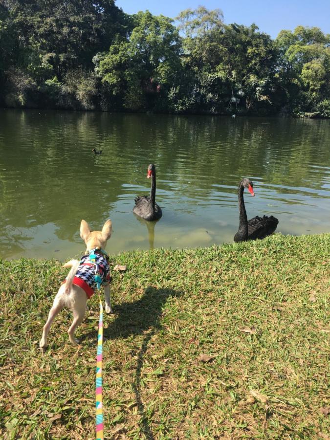 Ibirapuera Royal Park Lägenhet São Paulo Exteriör bild